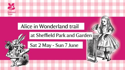 Alice in Wonderland trail banner